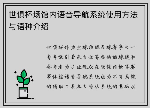 世俱杯场馆内语音导航系统使用方法与语种介绍